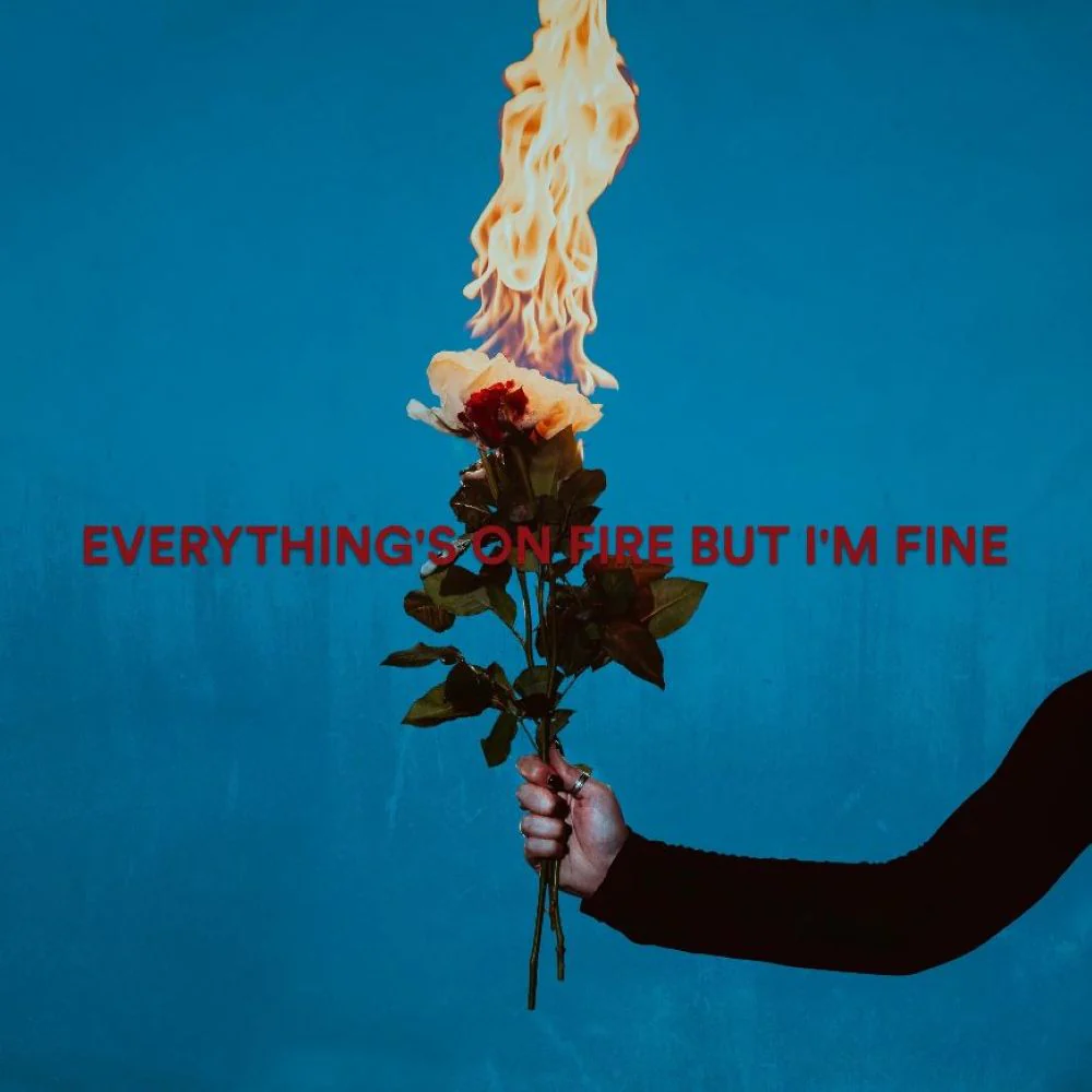 As December Falls Everything's On Fire But I'm Fine CD 2025