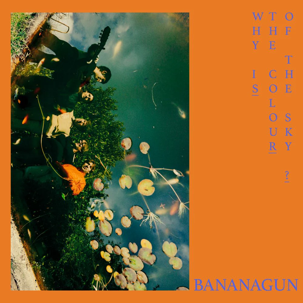 Bananagun Why is the Colour of the Sky? Vinyl LP 2024 Ltd Dinked Edition #310 - Image 2