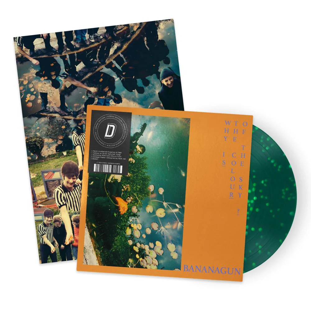 Bananagun Why is the Colour of the Sky? Vinyl LP 2024 Ltd Dinked Edition #310 - Image 3