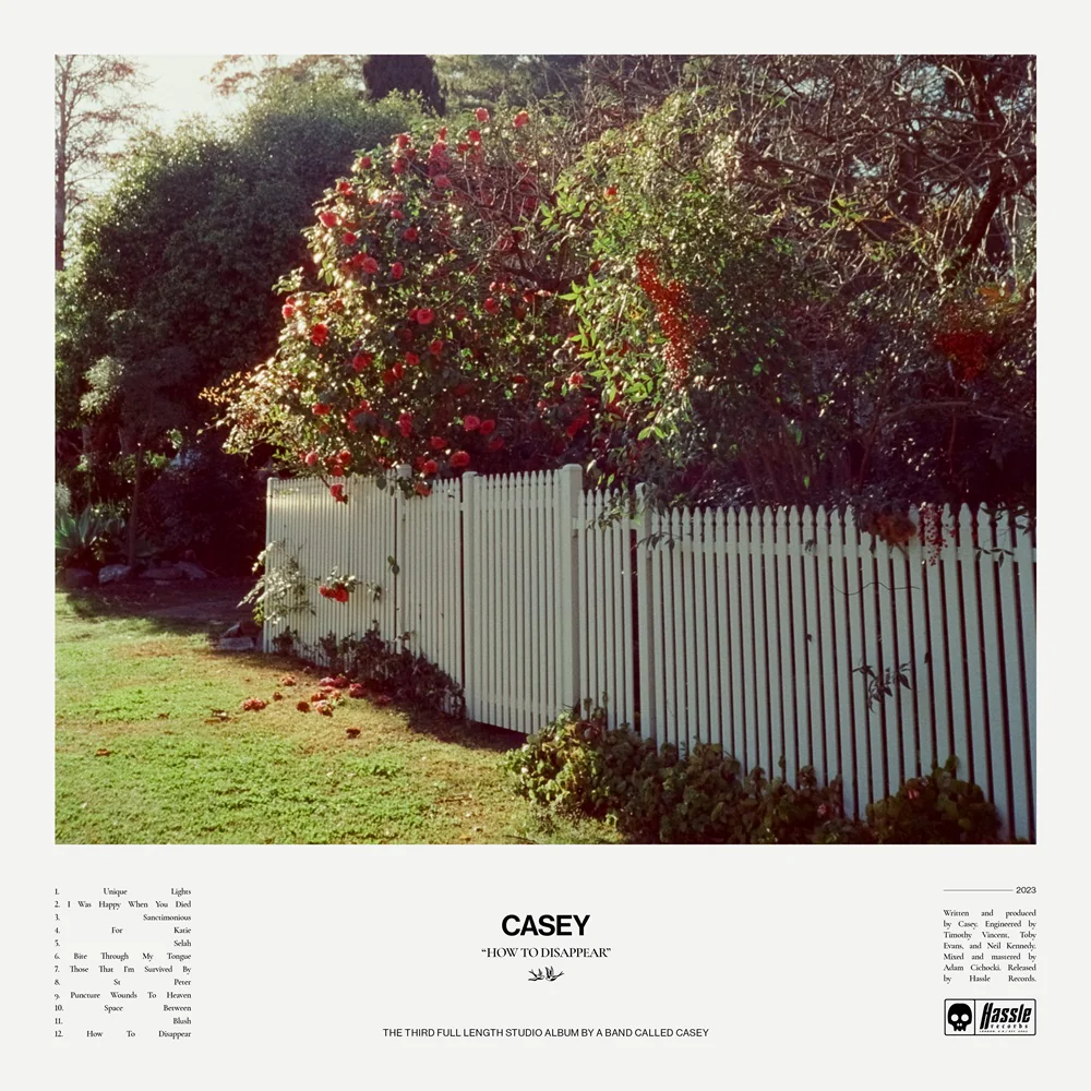 Casey How To Disappear Vinyl LP 2024 Ltd Dinked Edition #267 - Image 2