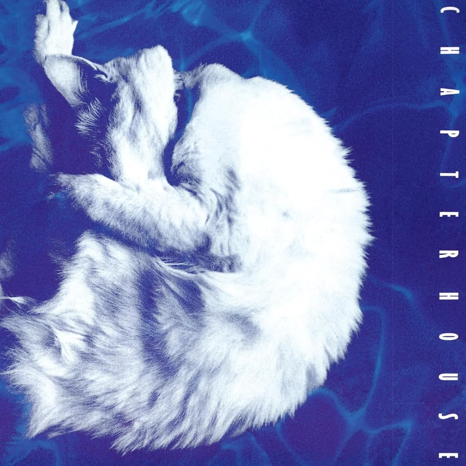 Chapterhouse Whirlpool Vinyl LP White And Black Marble 2026