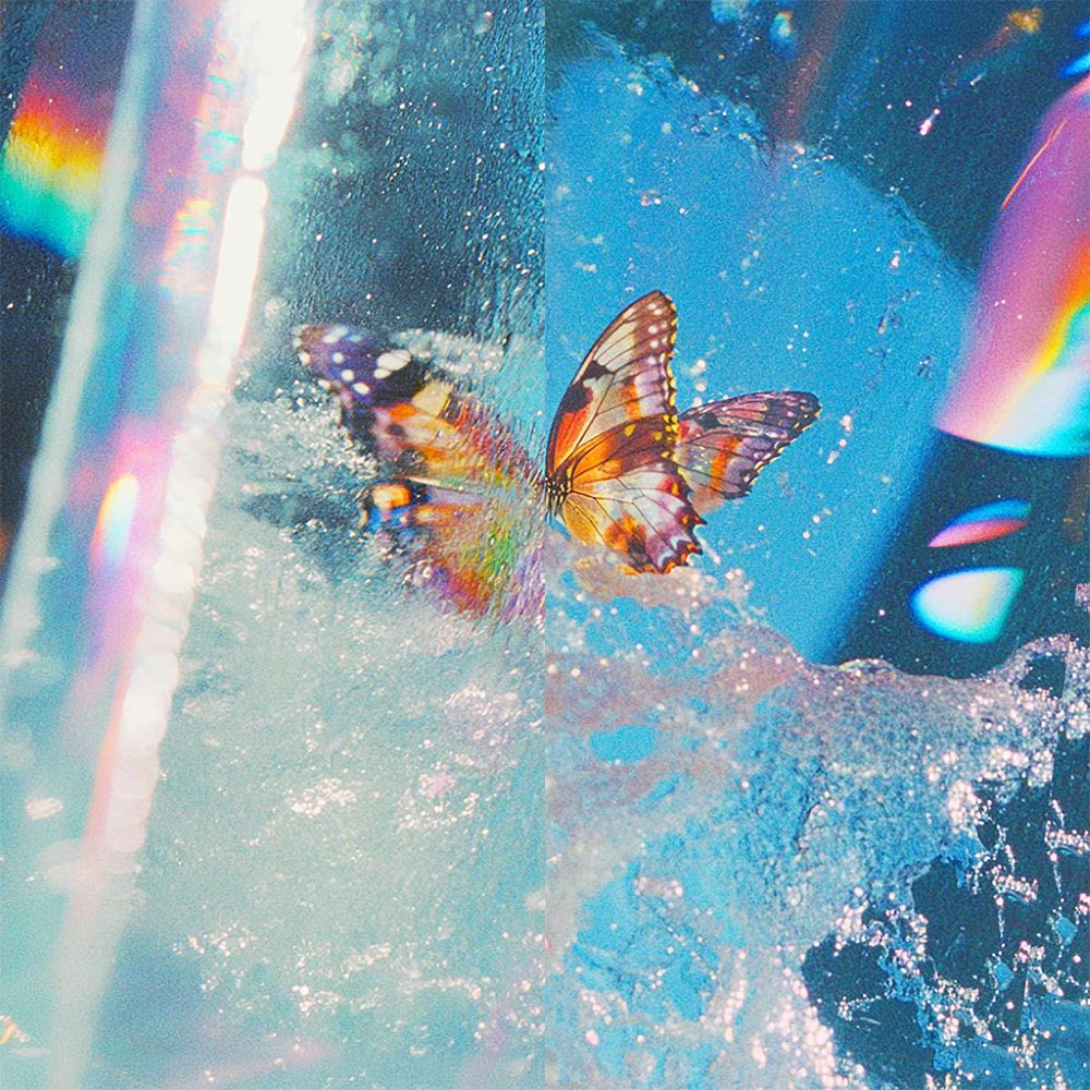 Daphni Butterfly Vinyl LP 2026