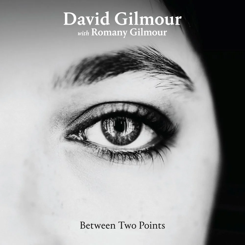 David Gilmour Between Two Points Remixes 12" Vinyl LP RSD 2025