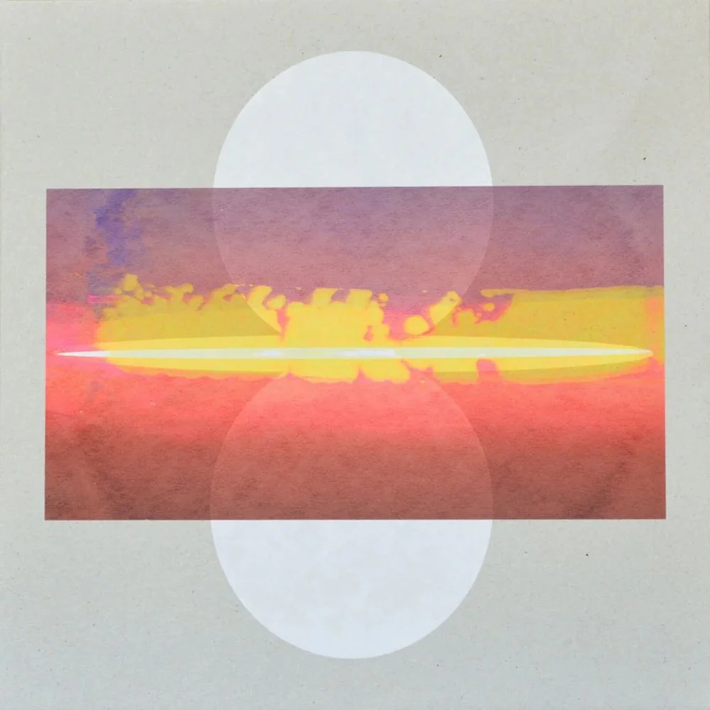 Drone Assembly (Self Titled) Vinyl LP & Screen Printed Cover 2024