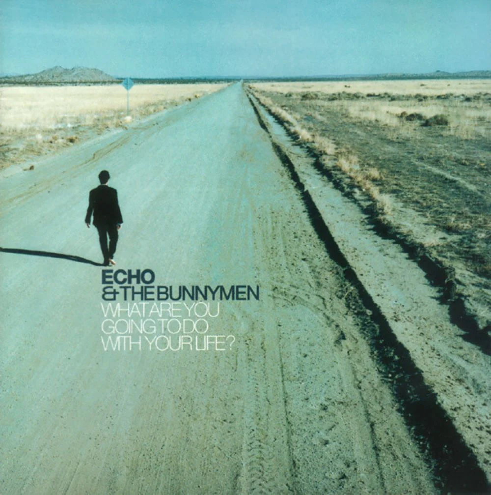 Echo & The Bunnymen What Are You Going To Do With Your Life? 25th Anniversary Vinyl LP Transparent Colour 2024