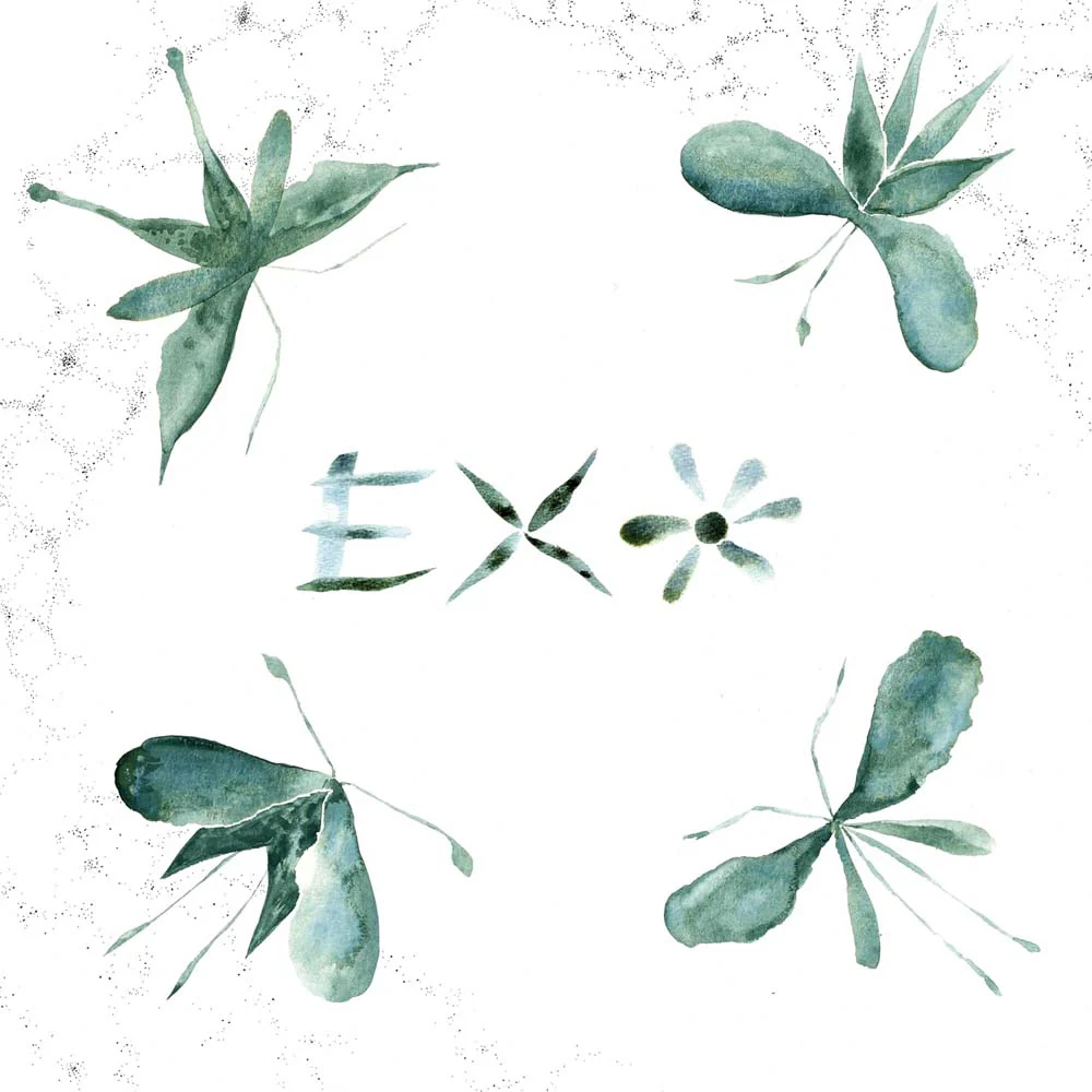 Exo Exo Viny LP 2025