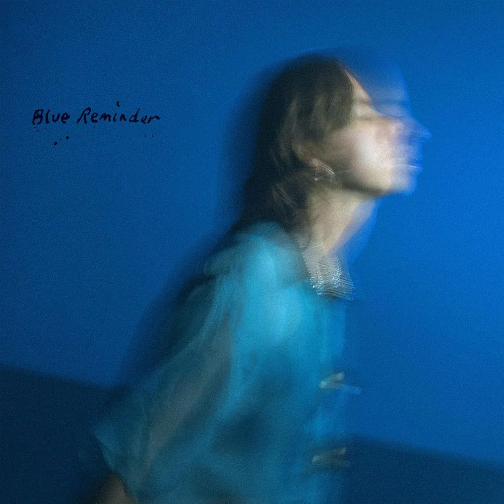 Hand Habits Blue Reminder Vinyl LP 2025
