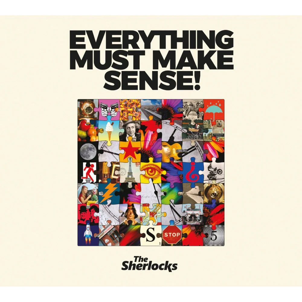 The Sherlocks Everything Must Make Sense! Vinyl LP 2025
