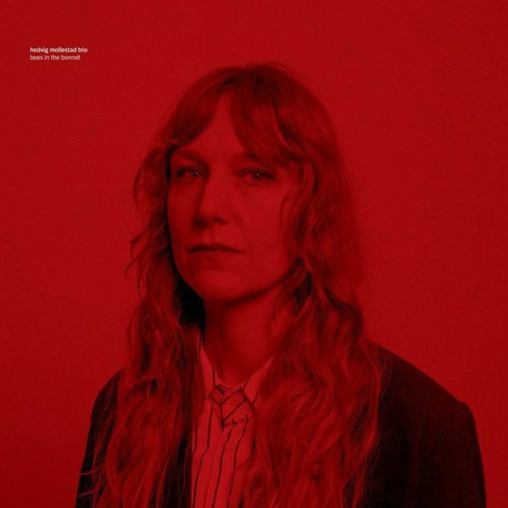 Hedvig Mollestad Trio Bees In The Bonnet Vinyl LP 2025