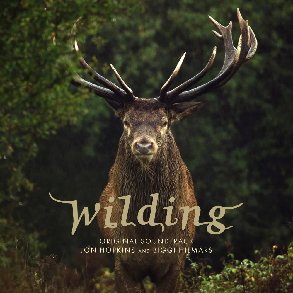 Jon Hopkins & Biggi Hilmars Wilding (Original Soundtrack) Vinyl LP 2026