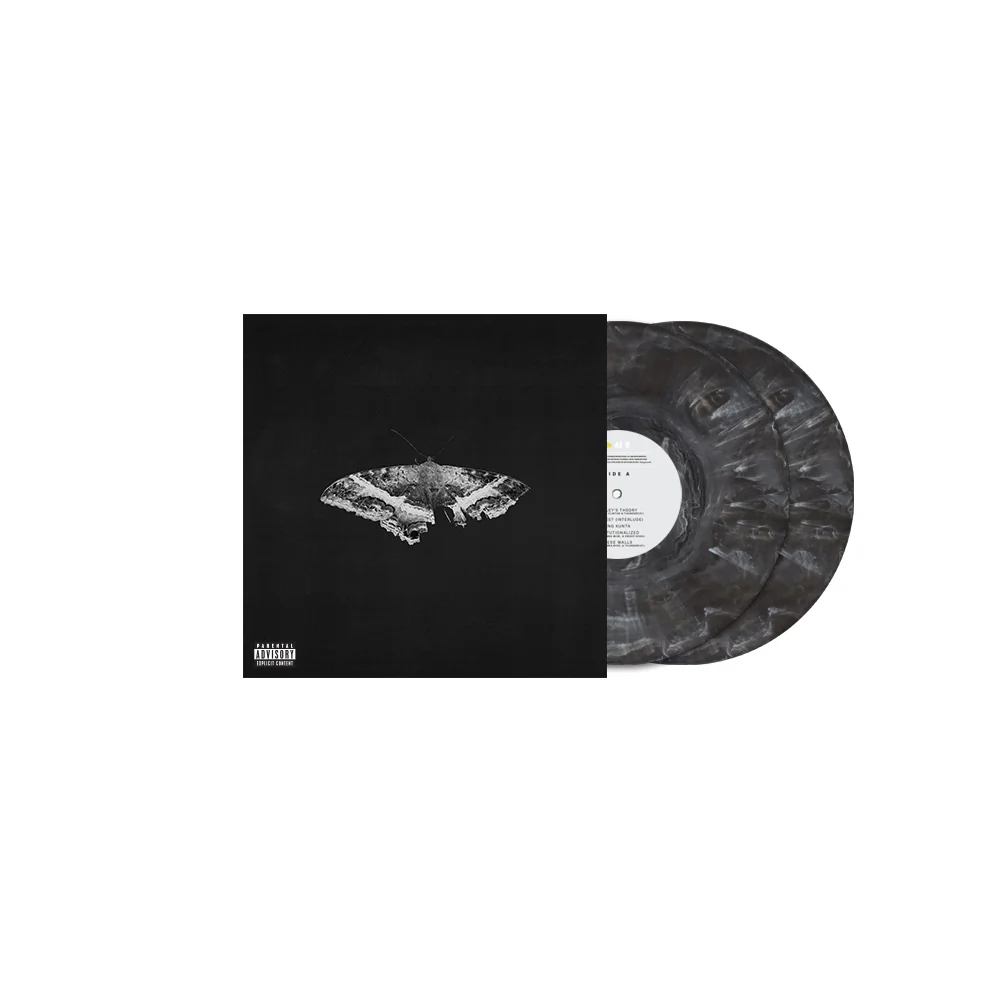 Kendrick Lamar To Pimp a Butterfly Vinyl LP Metallic Blends Colour 2025
