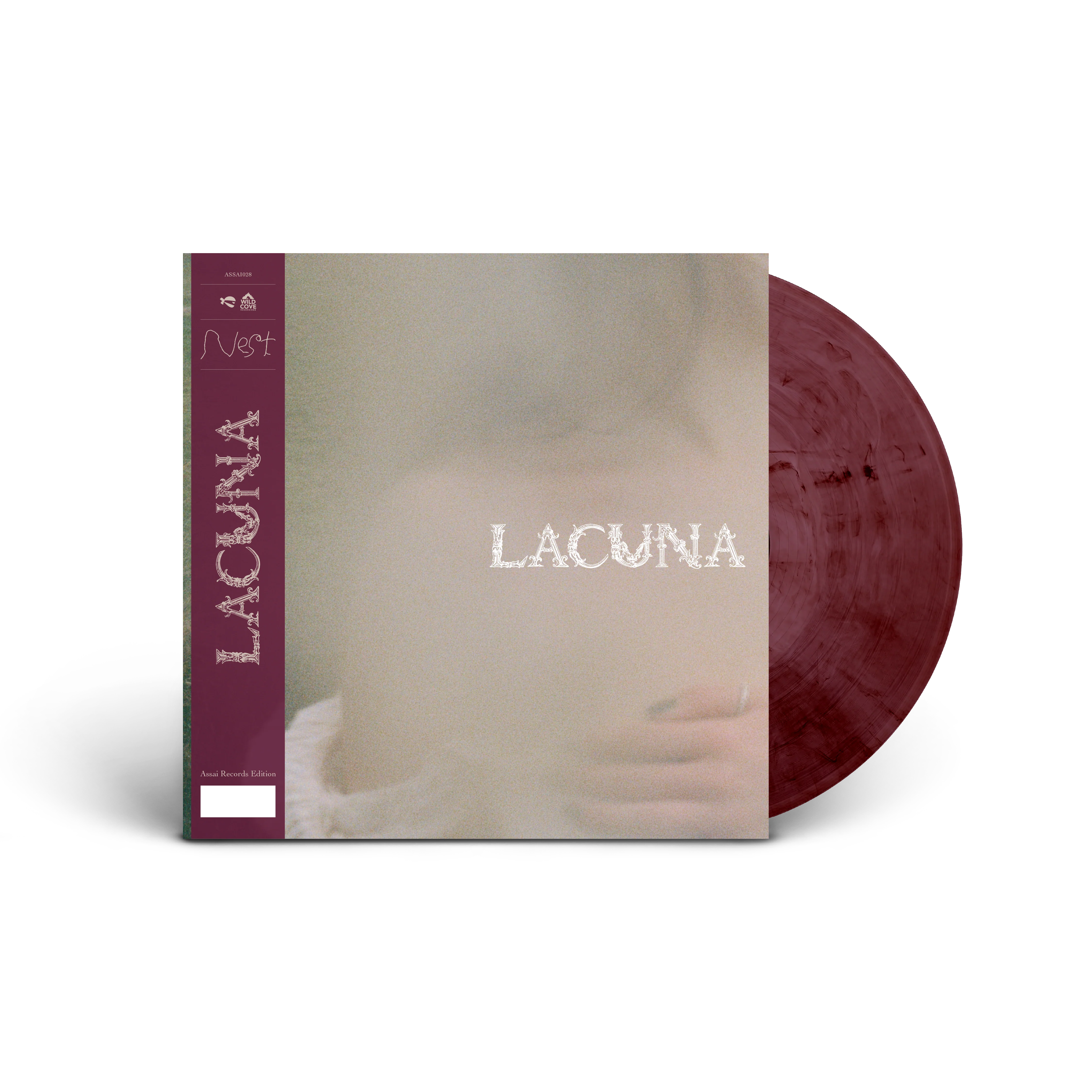 Lacuna Nest 12" Vinyl EP 2025 - Image 2