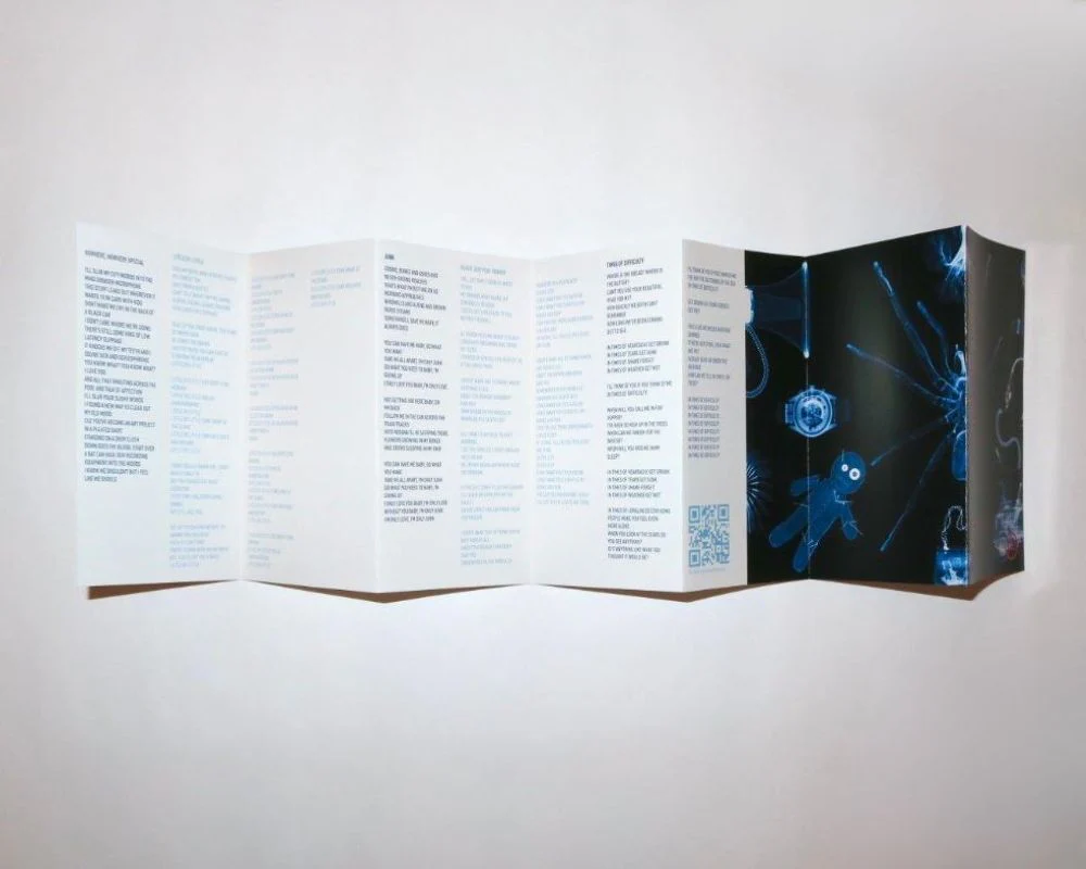 Matt Berninger Get Sunk Vinyl LP Indies Translucent Cobalt Colour 2025 - Image 2