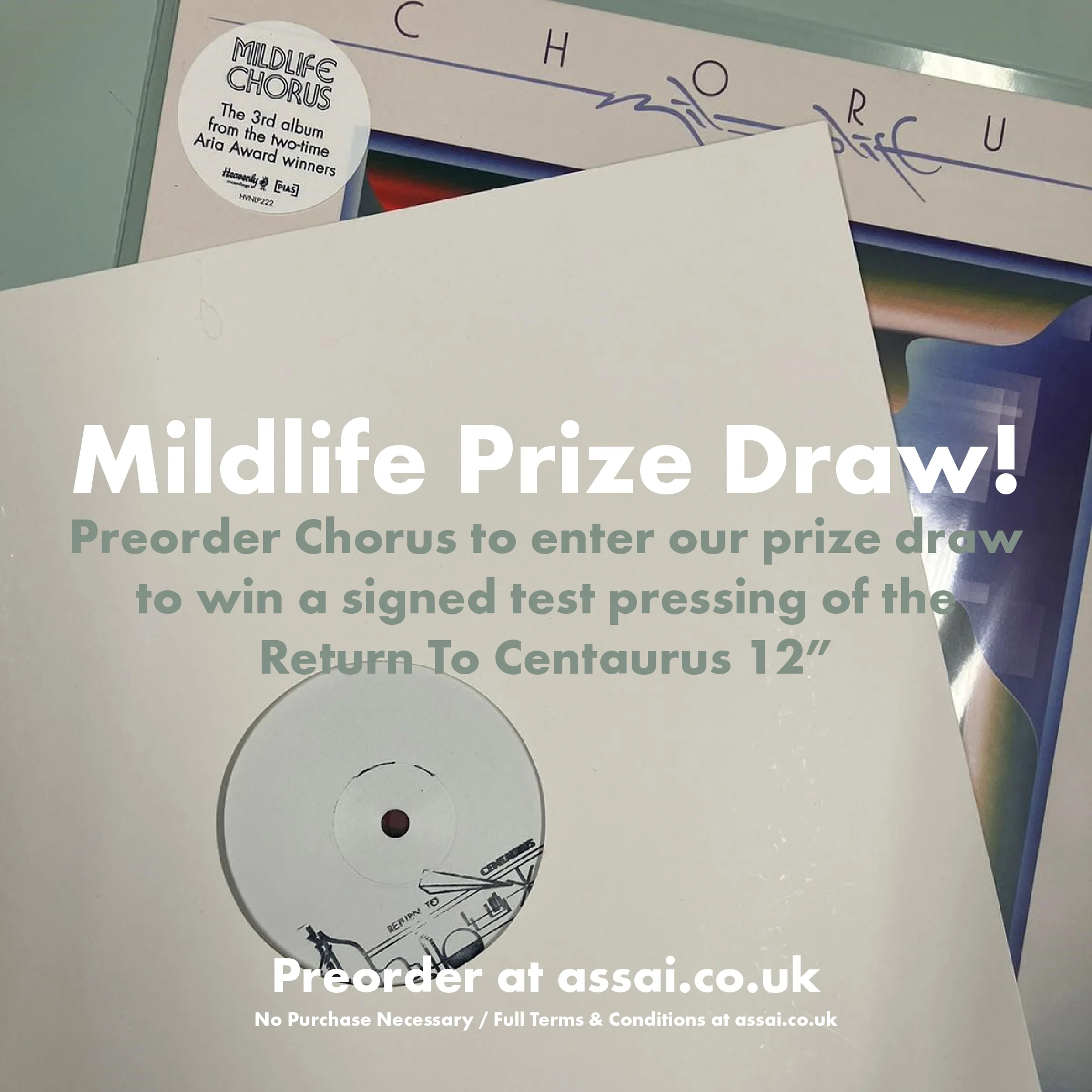 Mildlife Chorus Vinyl LP 2024 - Image 2