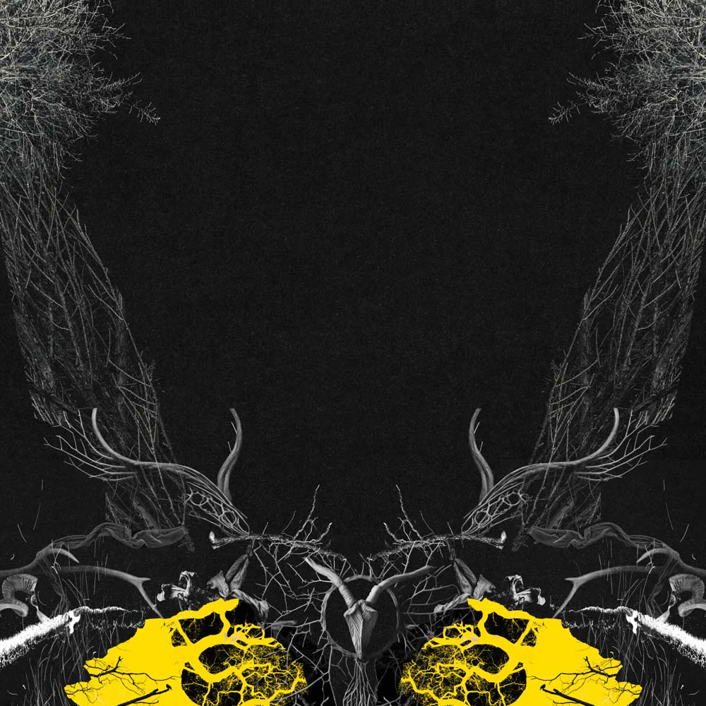 Moundabout Goat Skull Table Vinyl LP 2025