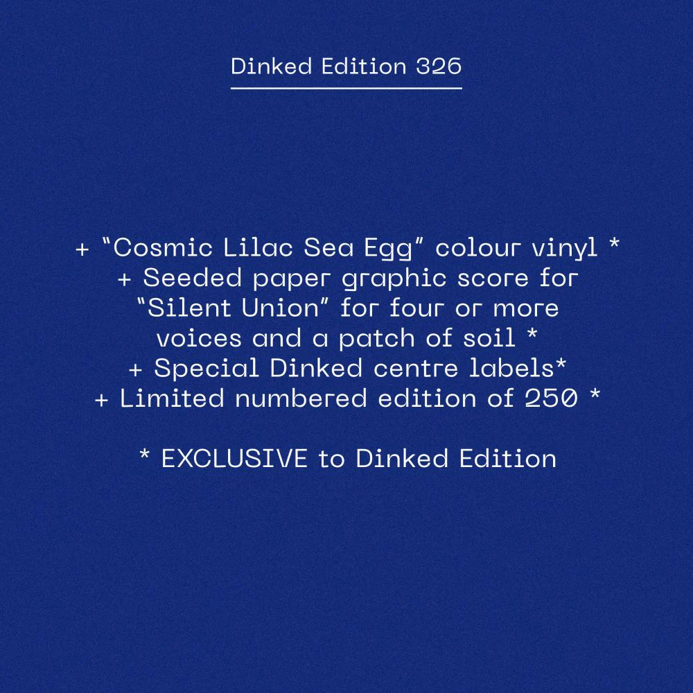 NYX NYX Vinyl LP 2025 Ltd Dinked Edition #326 - Image 2