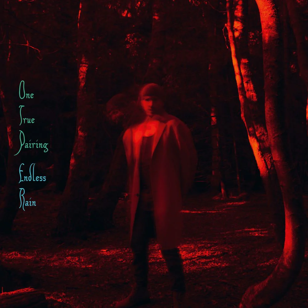 One True Pairing Endless Rain Vinyl LP 2024 - Image 2