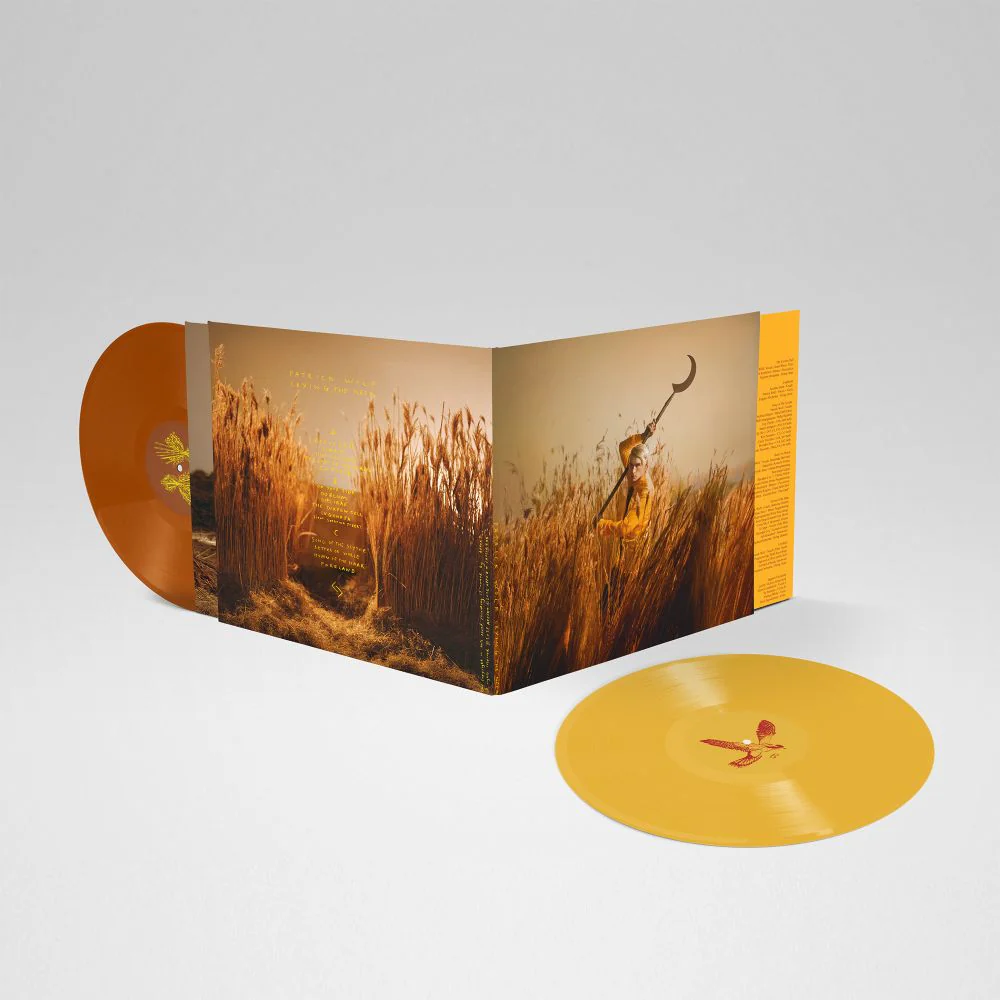 Patrick Wolf Crying The Neck Vinyl LP Harvest Ochre & Umber Soil Colour 2025 - Image 2