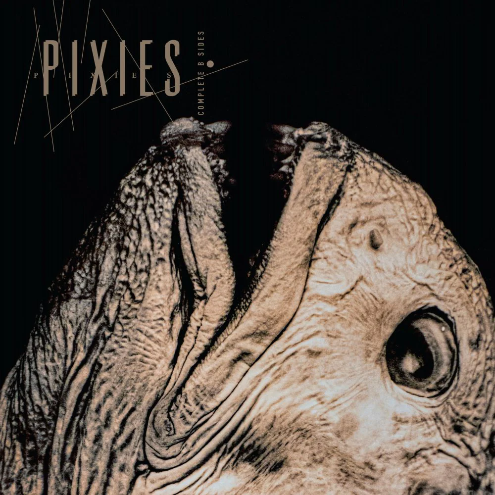 Pixies Complete B Sides: 1988-97 (Remastered) Vinyl LP Due Out 26/06/26 - Image 2