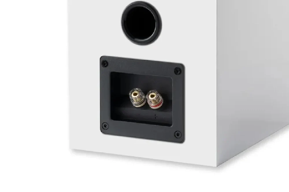 Pro-Ject Speaker Box 5 E High Gloss Black Colour Speaker - Image 3