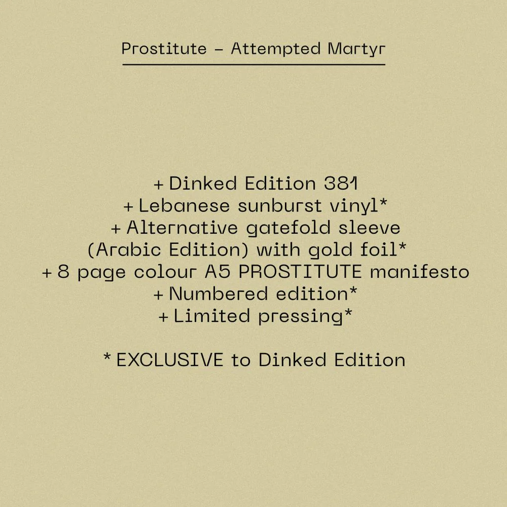 Prostitute Attempted Martyr Vinyl LP 2026 Ltd Dinked Edition #381 - Image 2