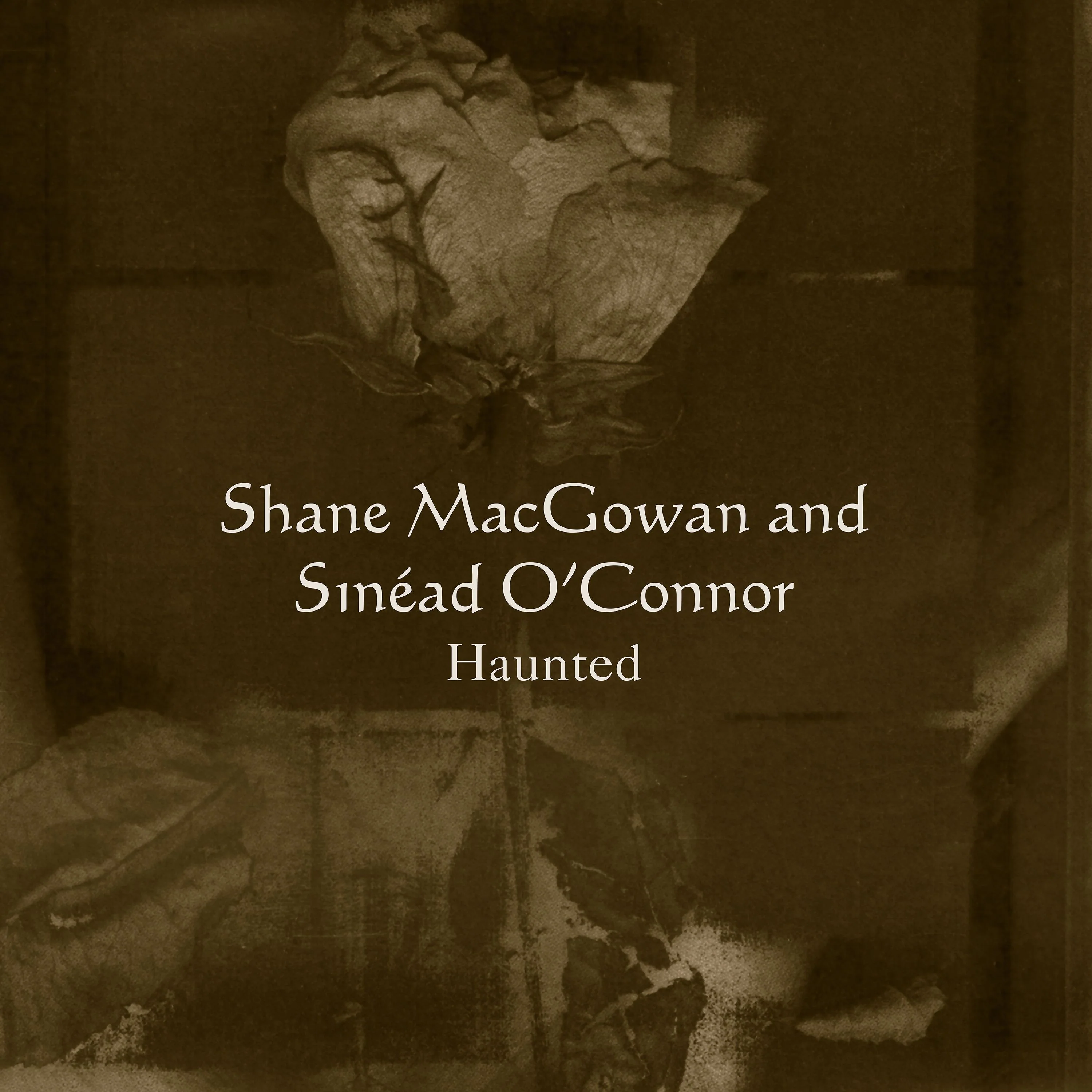 Shane MacGowan & Sinead O'Connor Haunted Vinyl LP Clear Colour RSD 2025 - Image 2