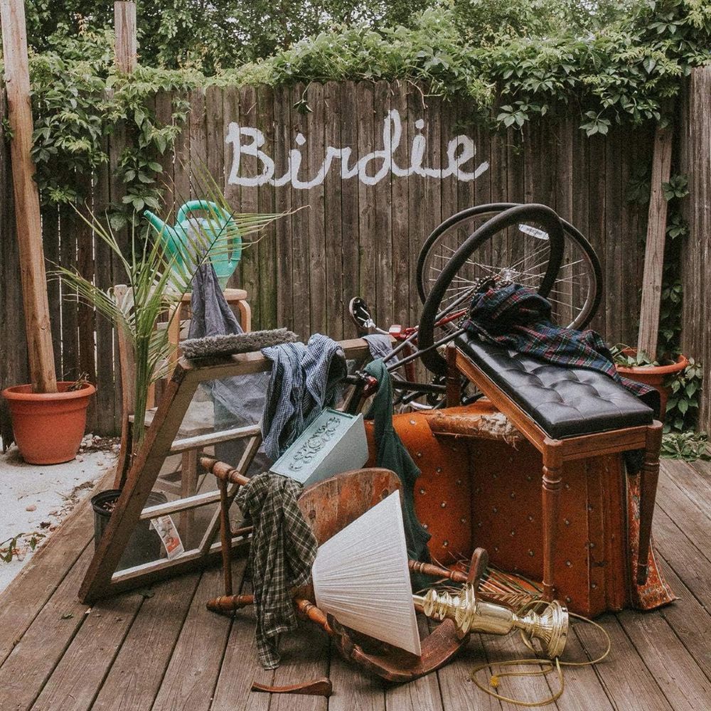 Slaughter Beach, Dog - Birdie Vinyl LP Olive Green Colour Due Out 10/07/26