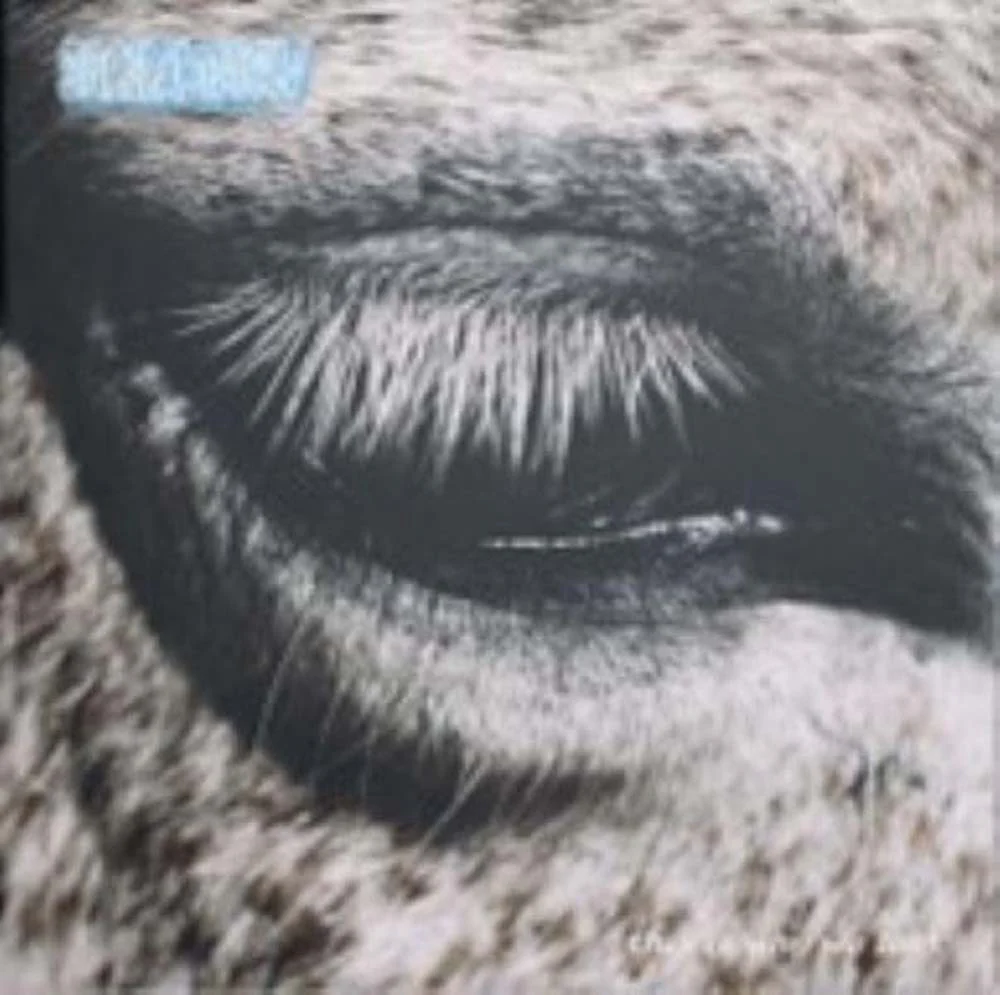 Smag Pa Dig Selv This Is Why We Lost Vinyl LP 2026