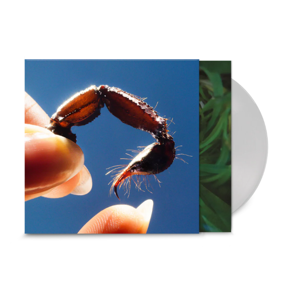 Squid Cowards Vinyl LP Indies Clear Colour 2025
