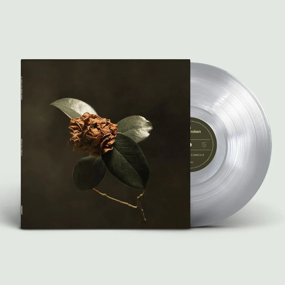 St. Paul & The Broken Bones Young Sick Camellia Vinyl LP Clear Colour 2025