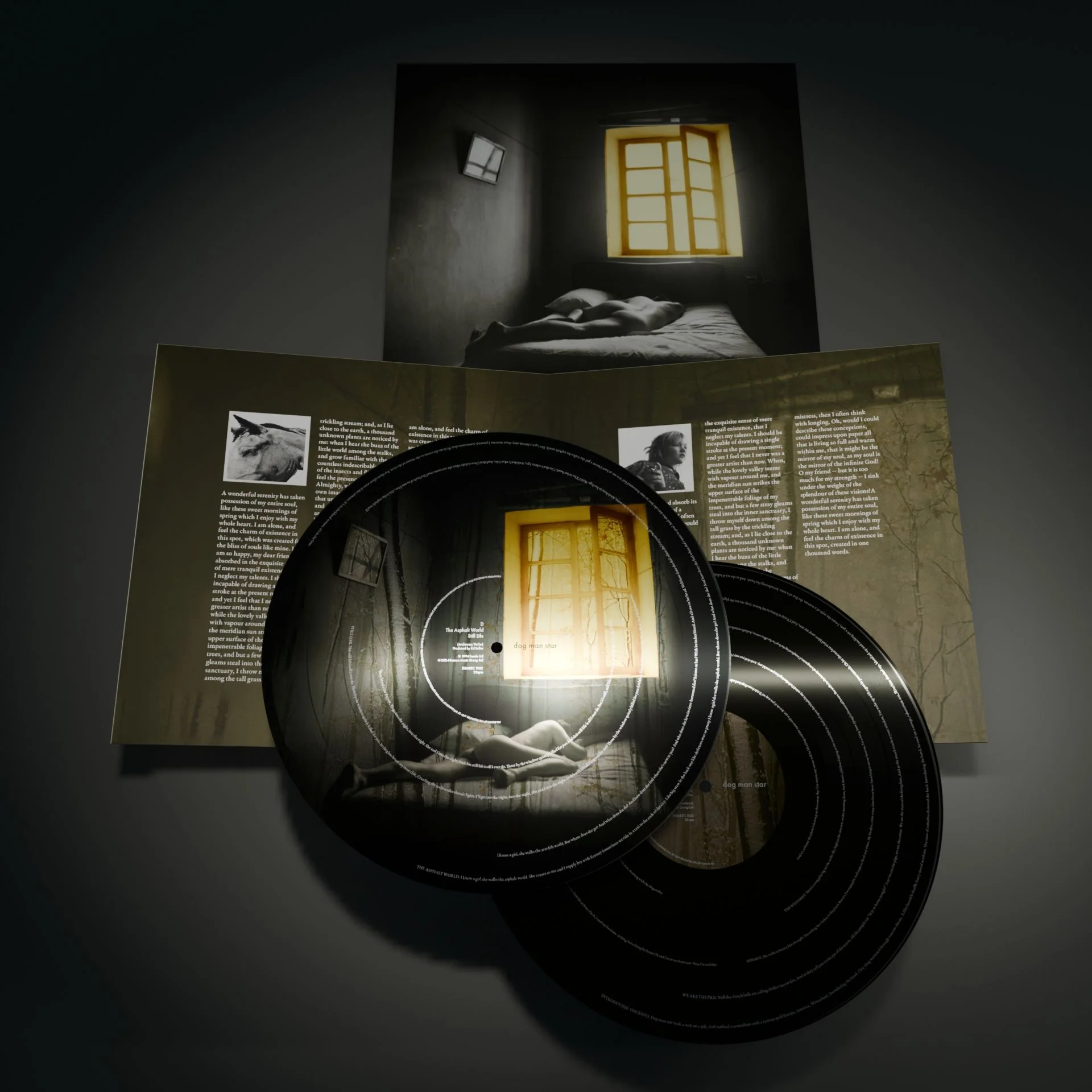 Suede Dog Man Star Vinyl LP 30th Anniversary Picture Disc National Album Day 2024 - Image 3