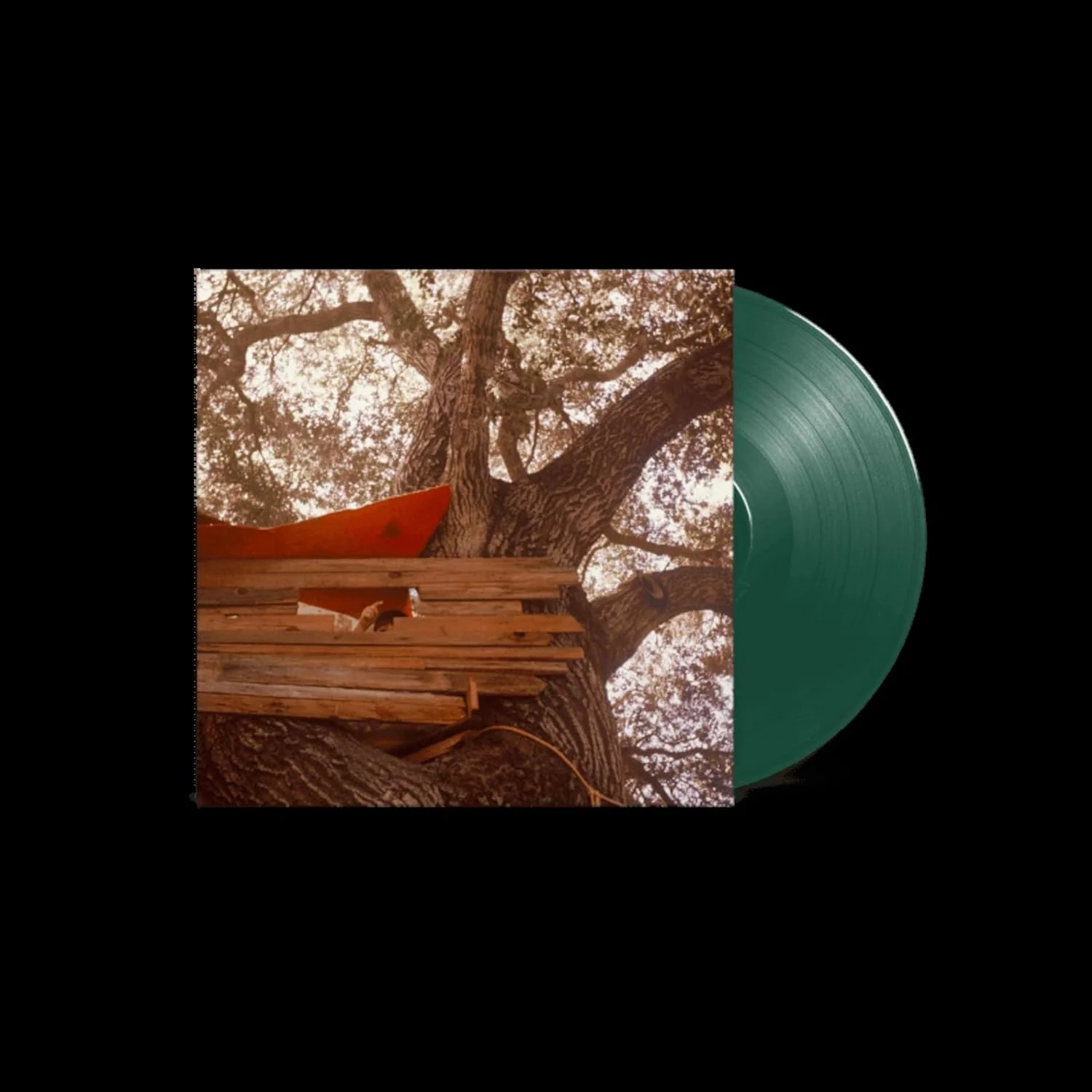 The Backseat Lovers Waiting to Spill Vinyl LP Dark Green Colour 2022 - Image 2