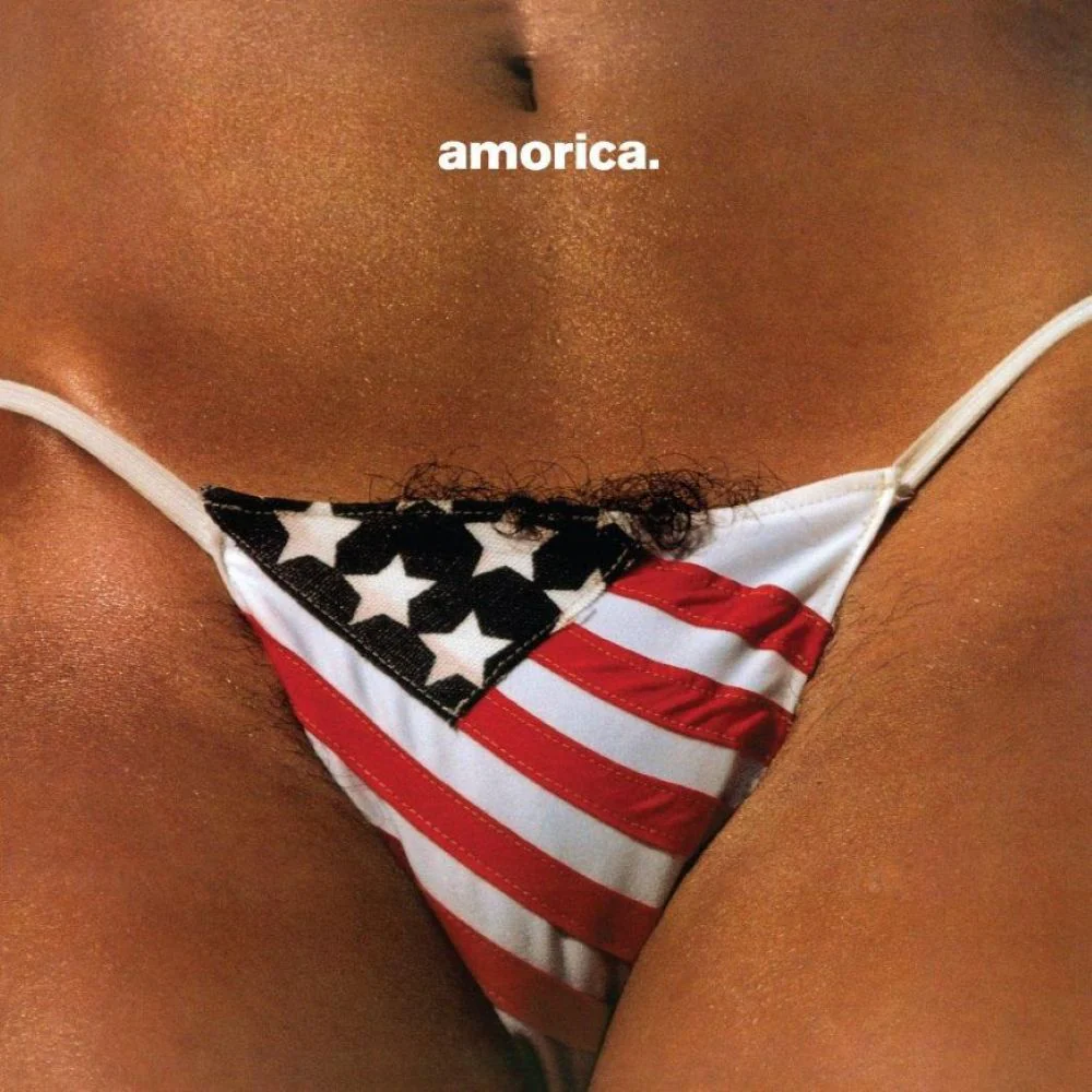 The Black Crowes Amorica Vinyl LP 2025 - Image 2