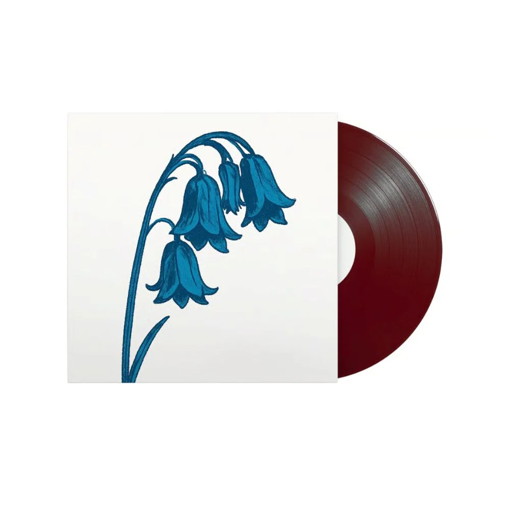 The Bluebells This Is The Bluebells Vinyl LP Indies Burgundy Red Colour 2026 - Image 2
