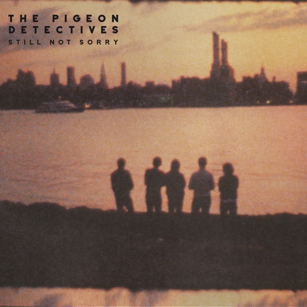The Pigeon Detectives Still Not Sorry Vinyl LP Purple & Black Marble Colour 2025
