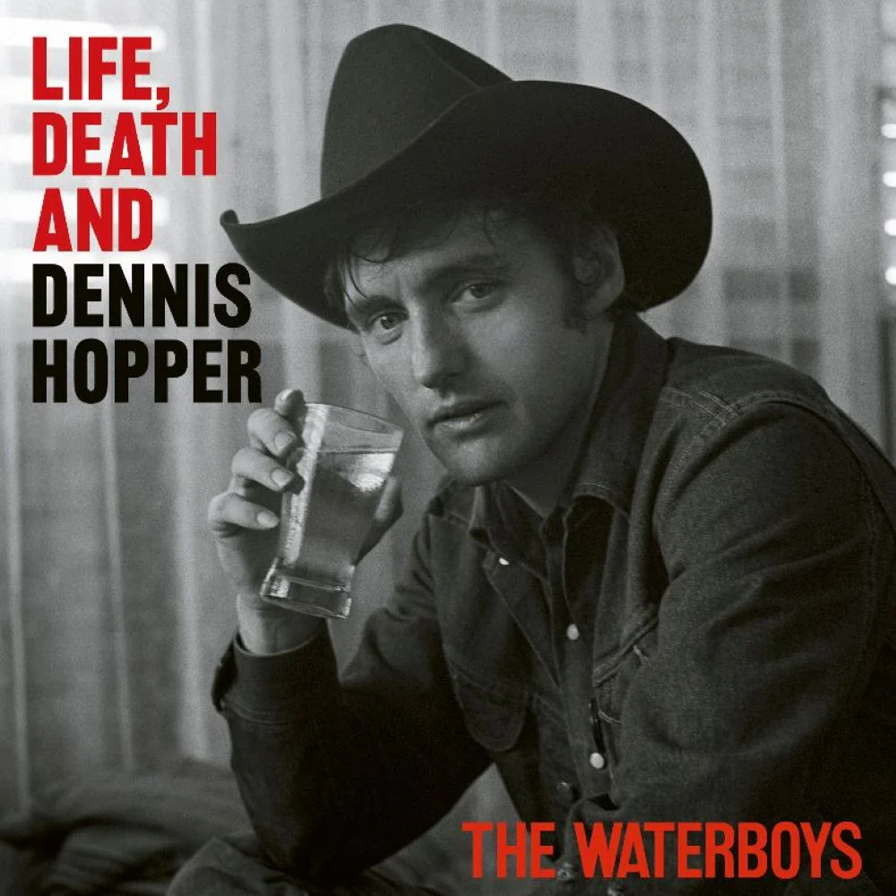 The Waterboys Life, Death and Dennis Hopper Vinyl LP Indies Psychedelic Waves 2025 - Image 2