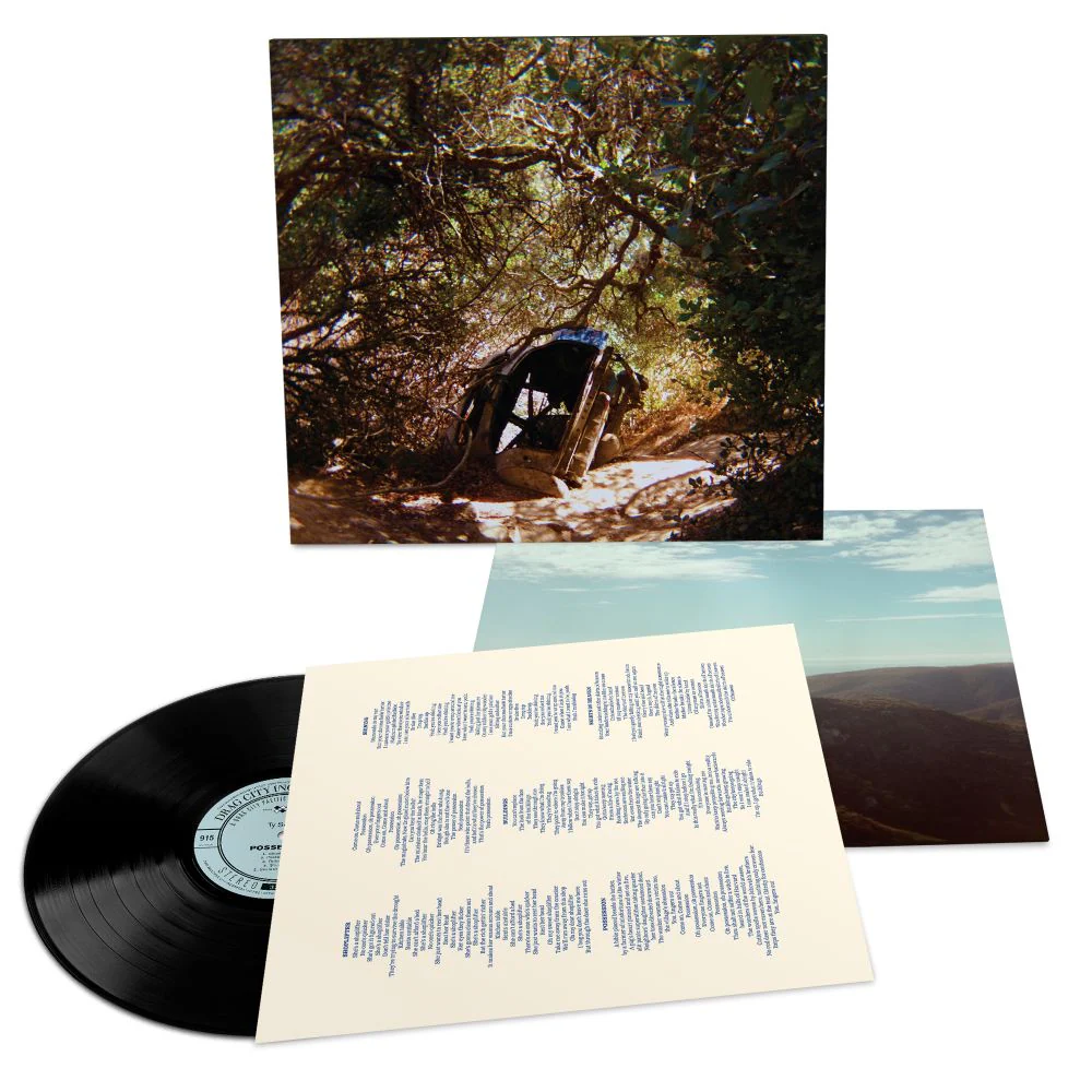 Ty Segall Possession Vinyl LP 2025 - Image 2