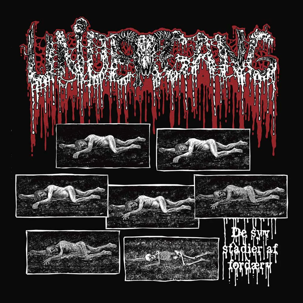 Undergang De syv stadier af ford?æ?rv 12" Vinyl Single 2025
