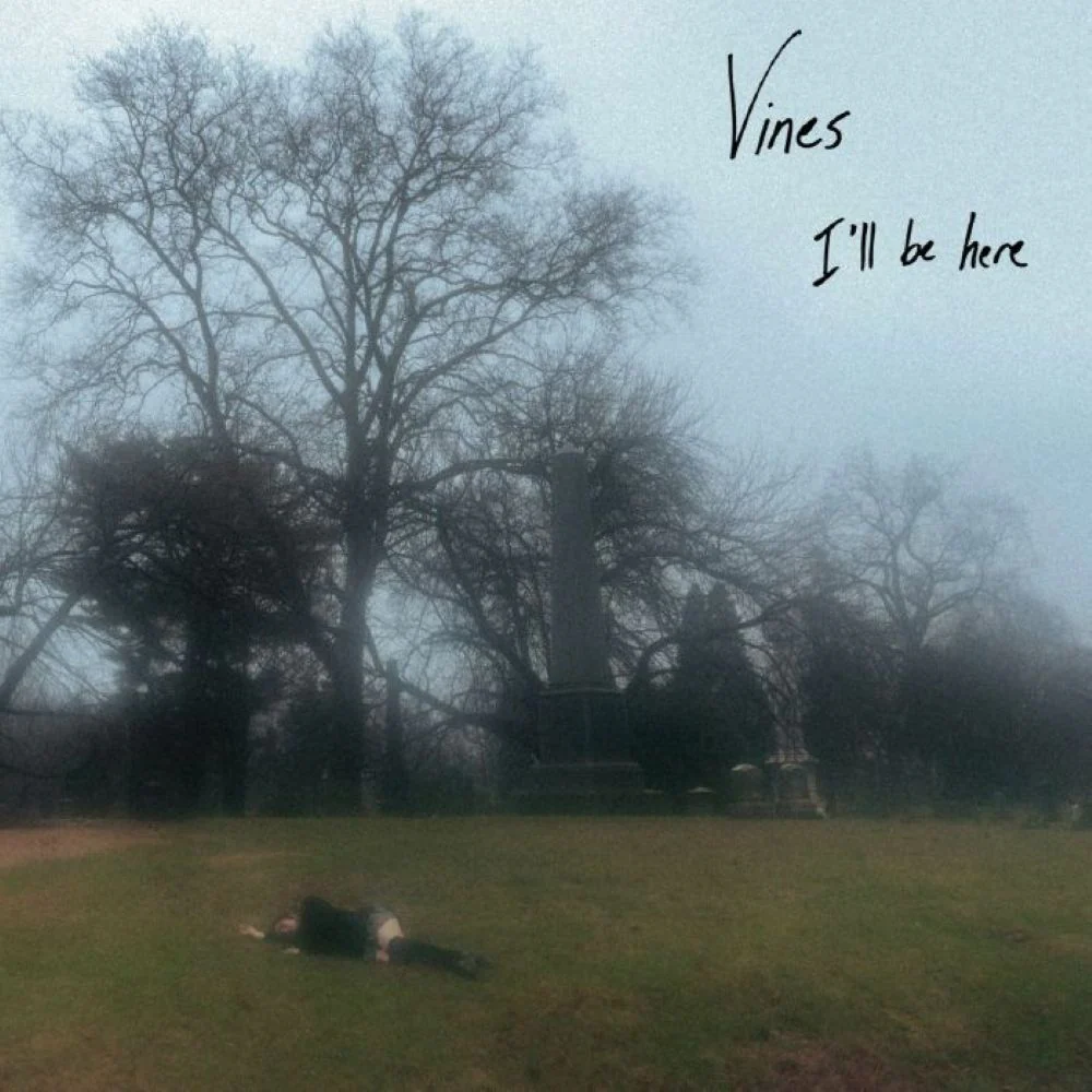 Vines I'll Be There Vinyl LP Cloud Colour 2025