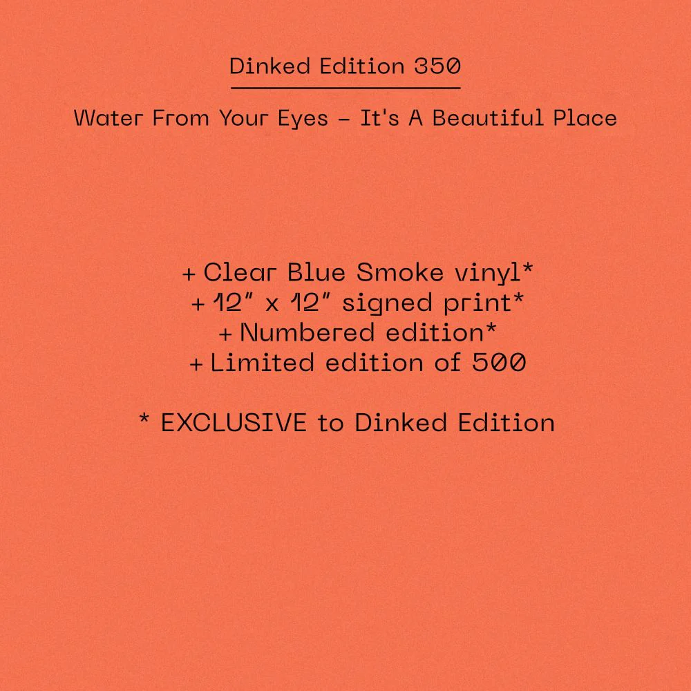 Water From Your Eyes It’s A Beautiful Place Vinyl LP 2025 Ltd Dinked Edition #350 - Image 2