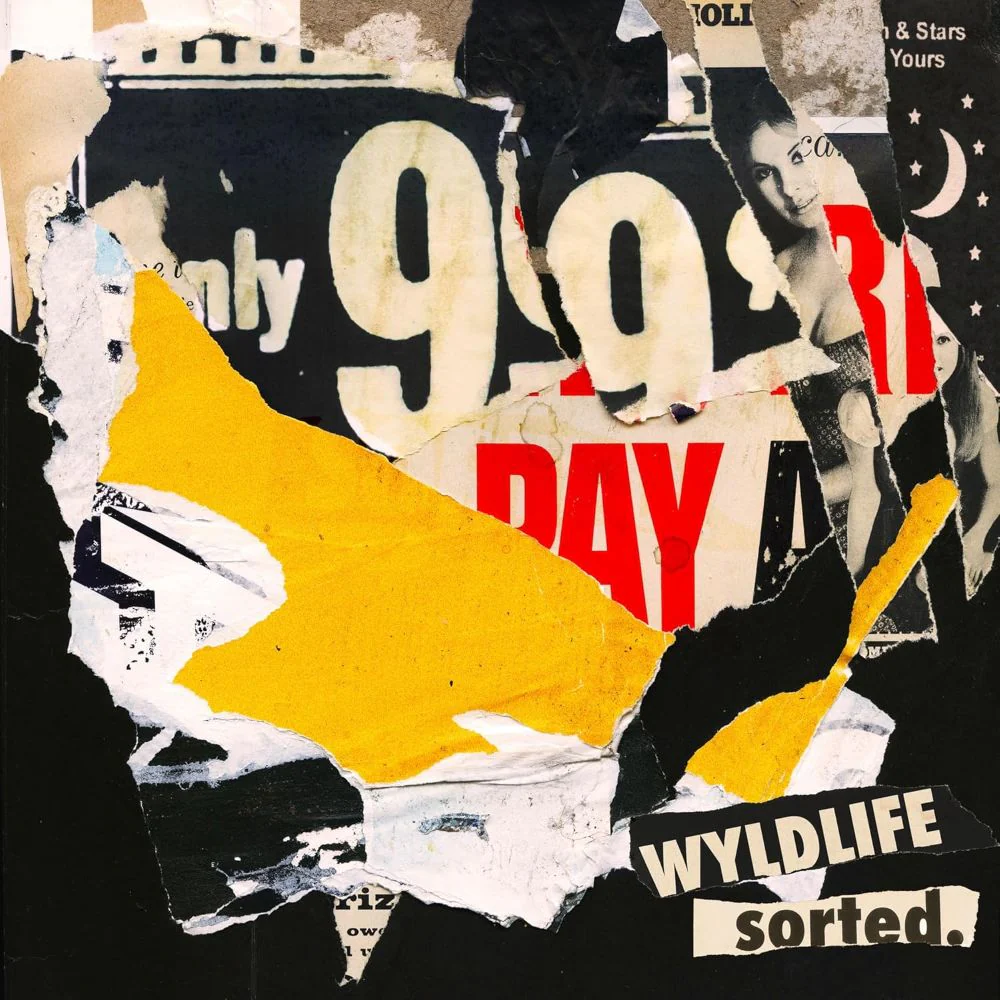 Wyldlife sorted. Vinyl LP 2025