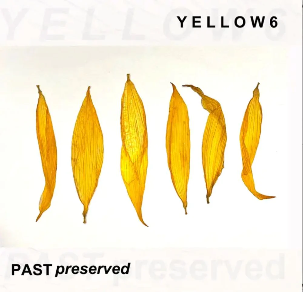 Yellow6 Past Preserved Vinyl LP 2025