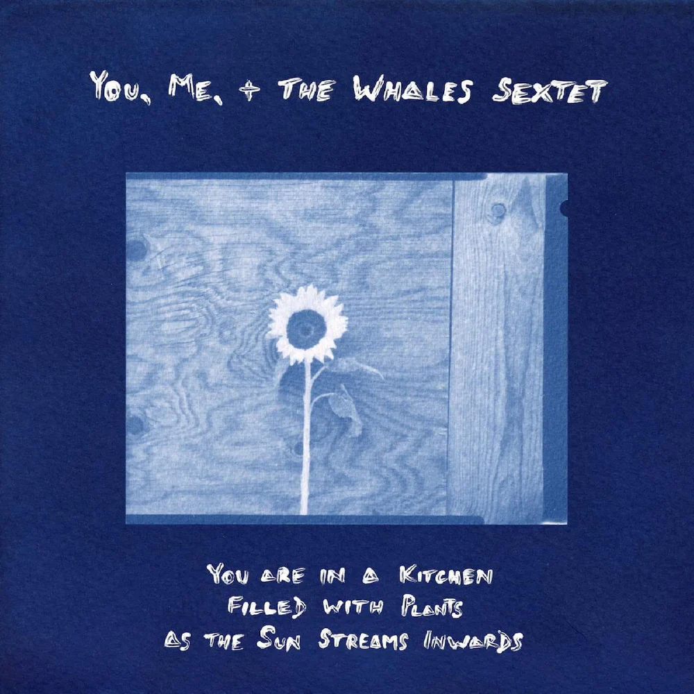 YOU. ME. + THE WHALES SEXTET - You Are In A Kitchen Filled With Plants As The Sun Streams Inward Vinyl LP Due Out 05/06/26
